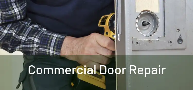 Commercial Door Repair